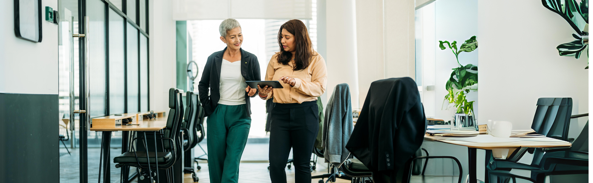 Frauen; Büro; Factoring