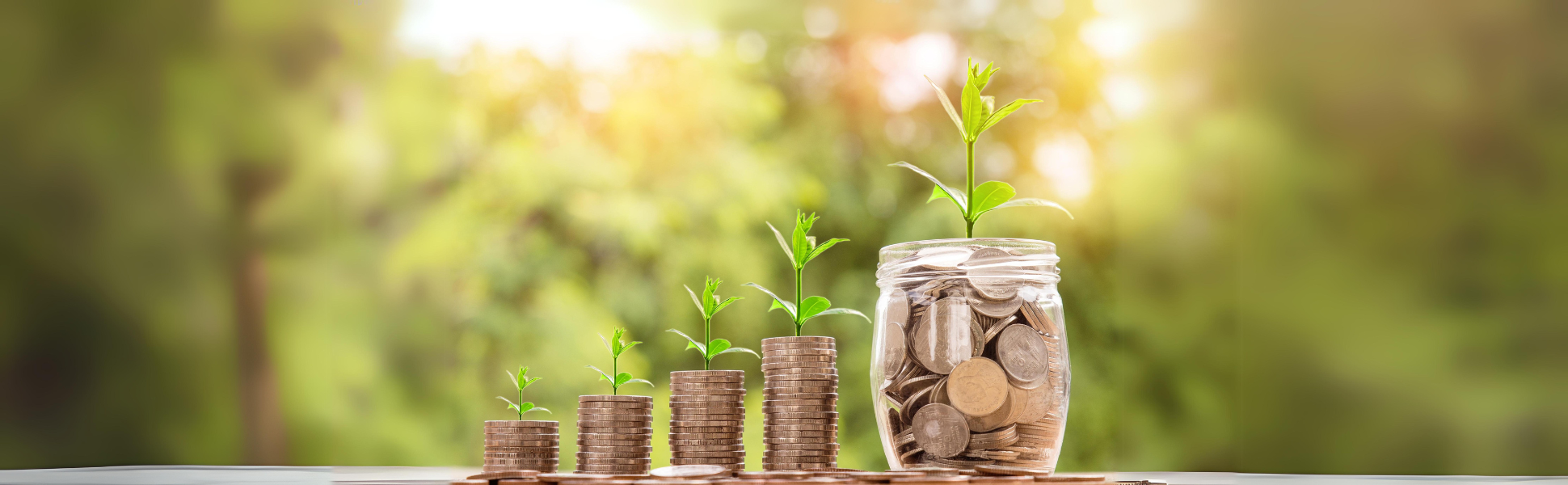 Money in a jar with seedling growing out of the jar